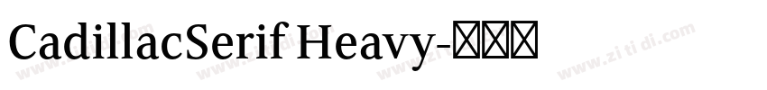 CadillacSerif Heavy字体转换 CadillacSerif Heavy字体转换